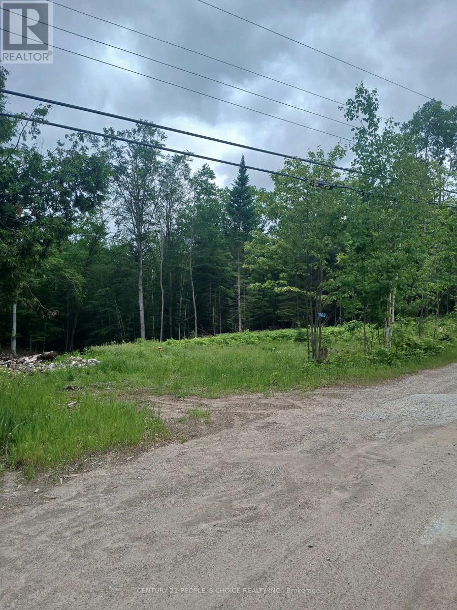 1005 Porkys Road Property Photo 3