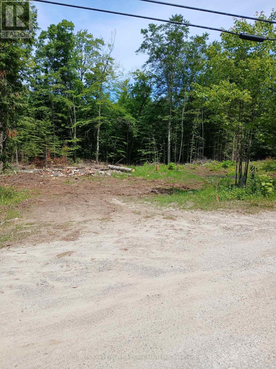 1005 Porkys Road Property Photo 5