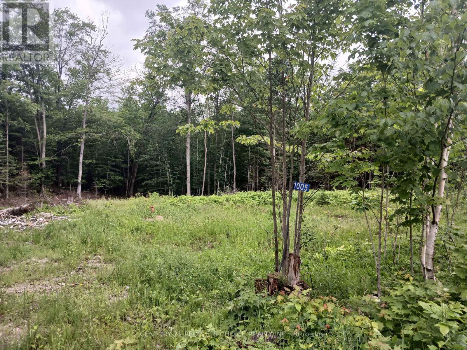 1005 Porkys Road Property Photo 14