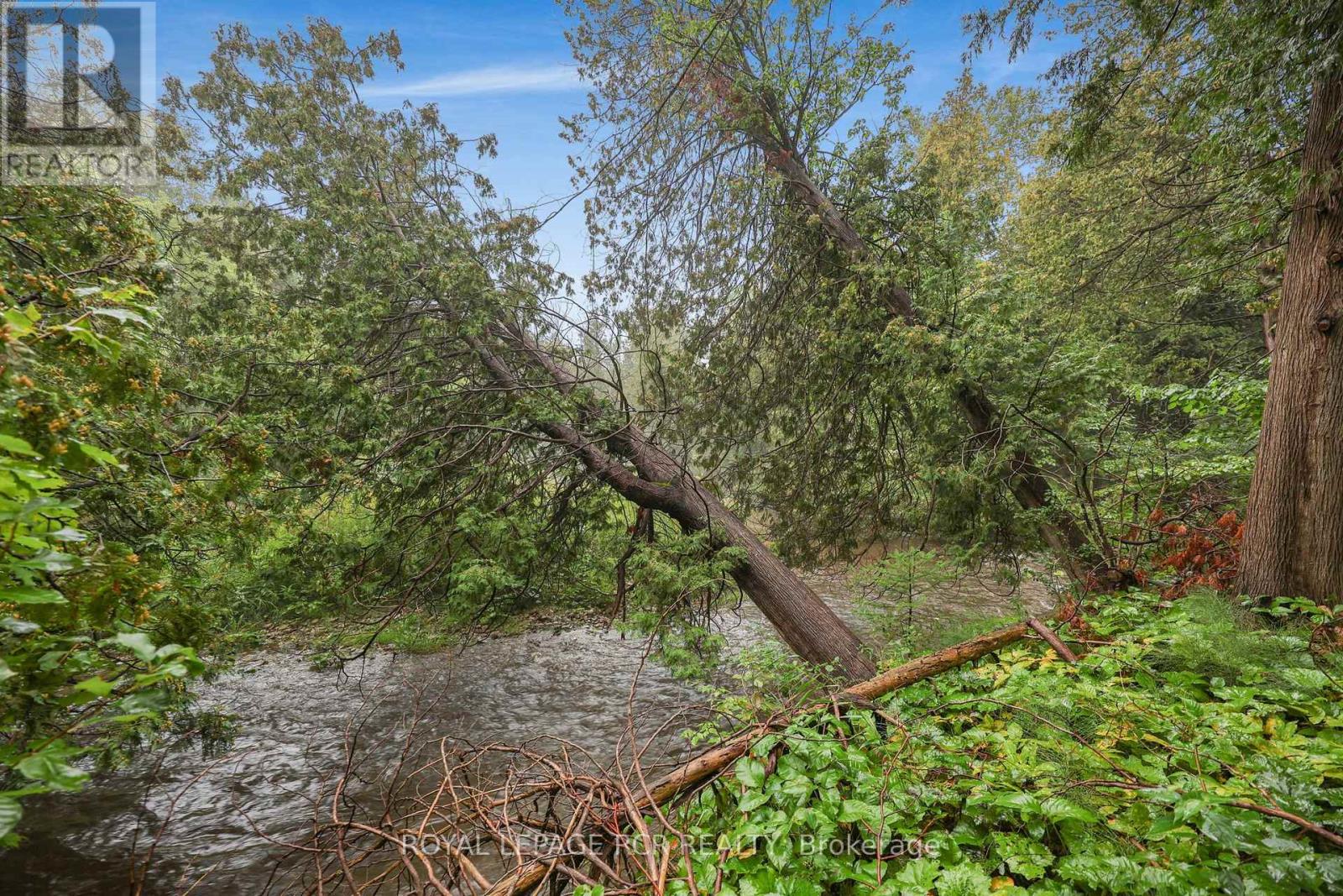 308451 Hockley Road Property Photo 35