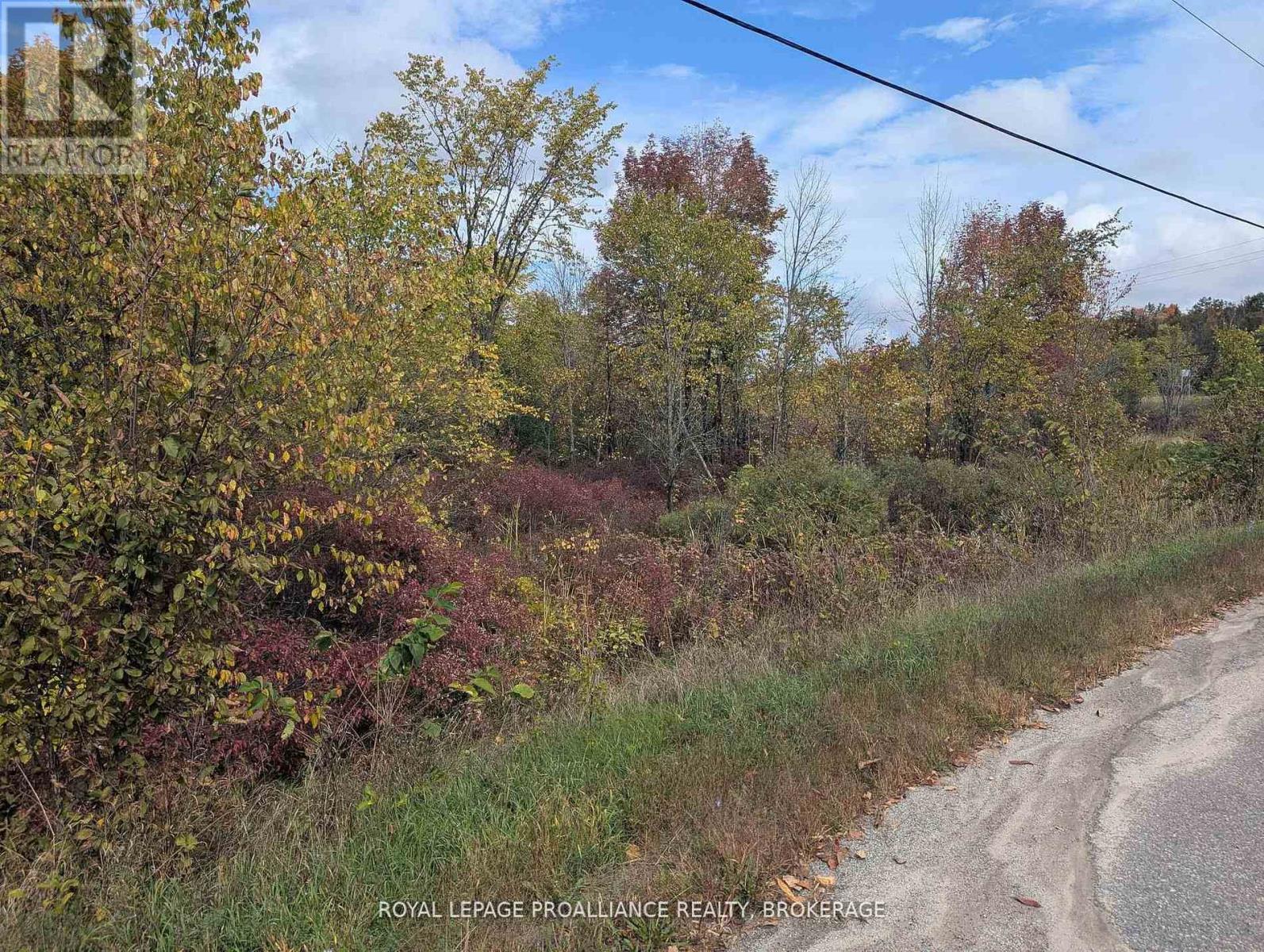 Lot 34 Leo Lake Road Property Photo 1