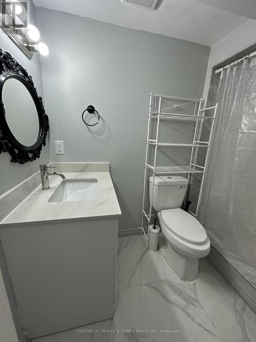 Bsmt - 233 Powell Street Property Photo 9