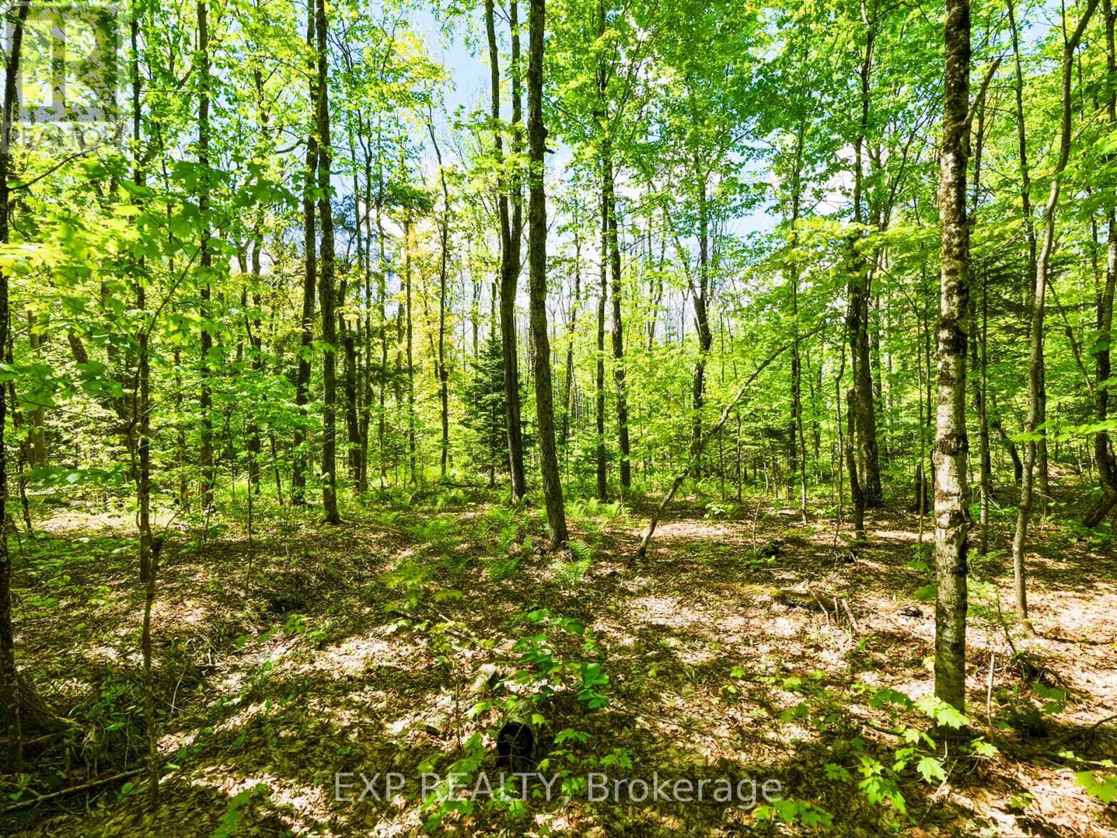686 East Fox Lake Road Property Photo 12