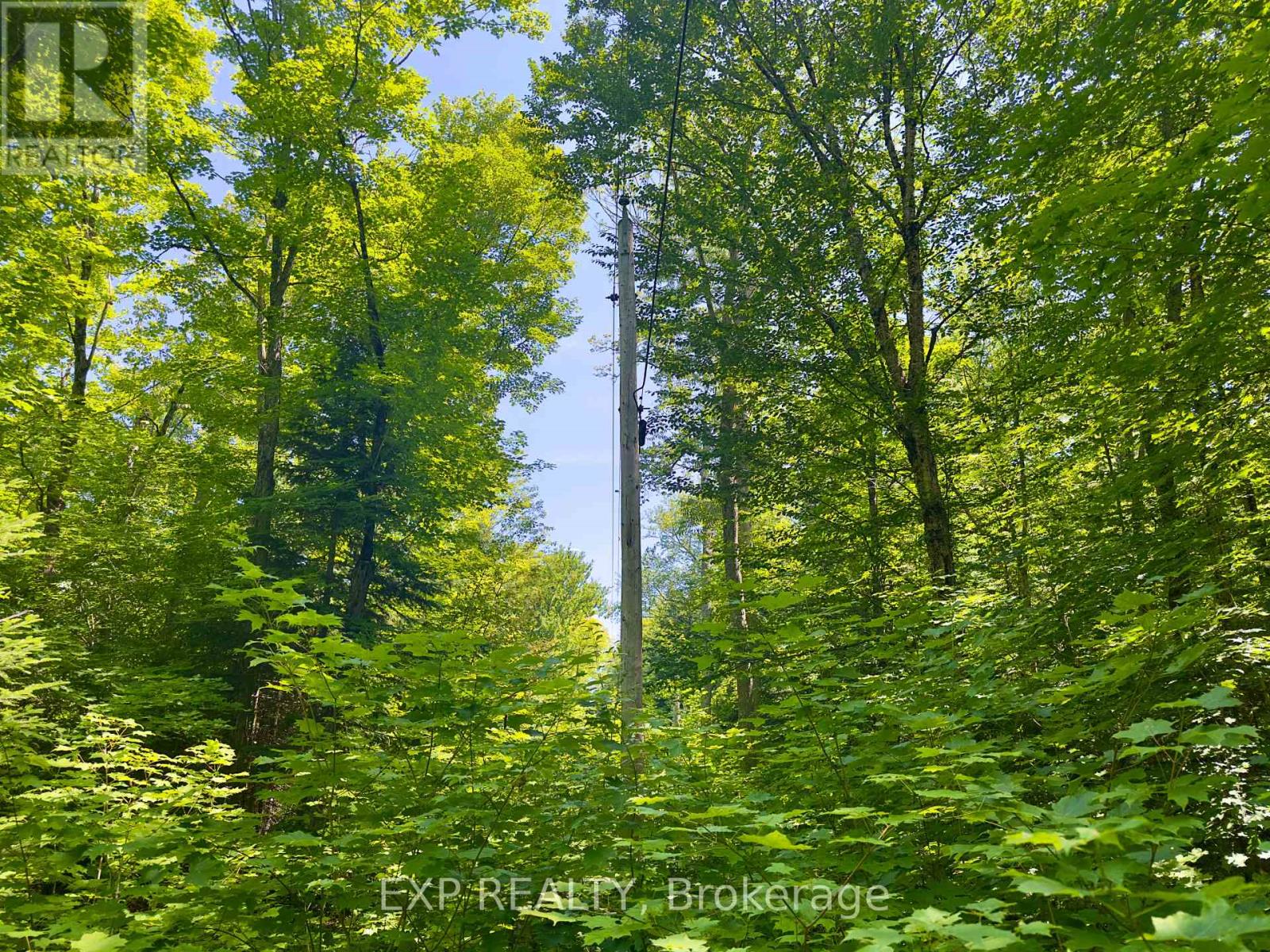 686 East Fox Lake Road Property Photo 20