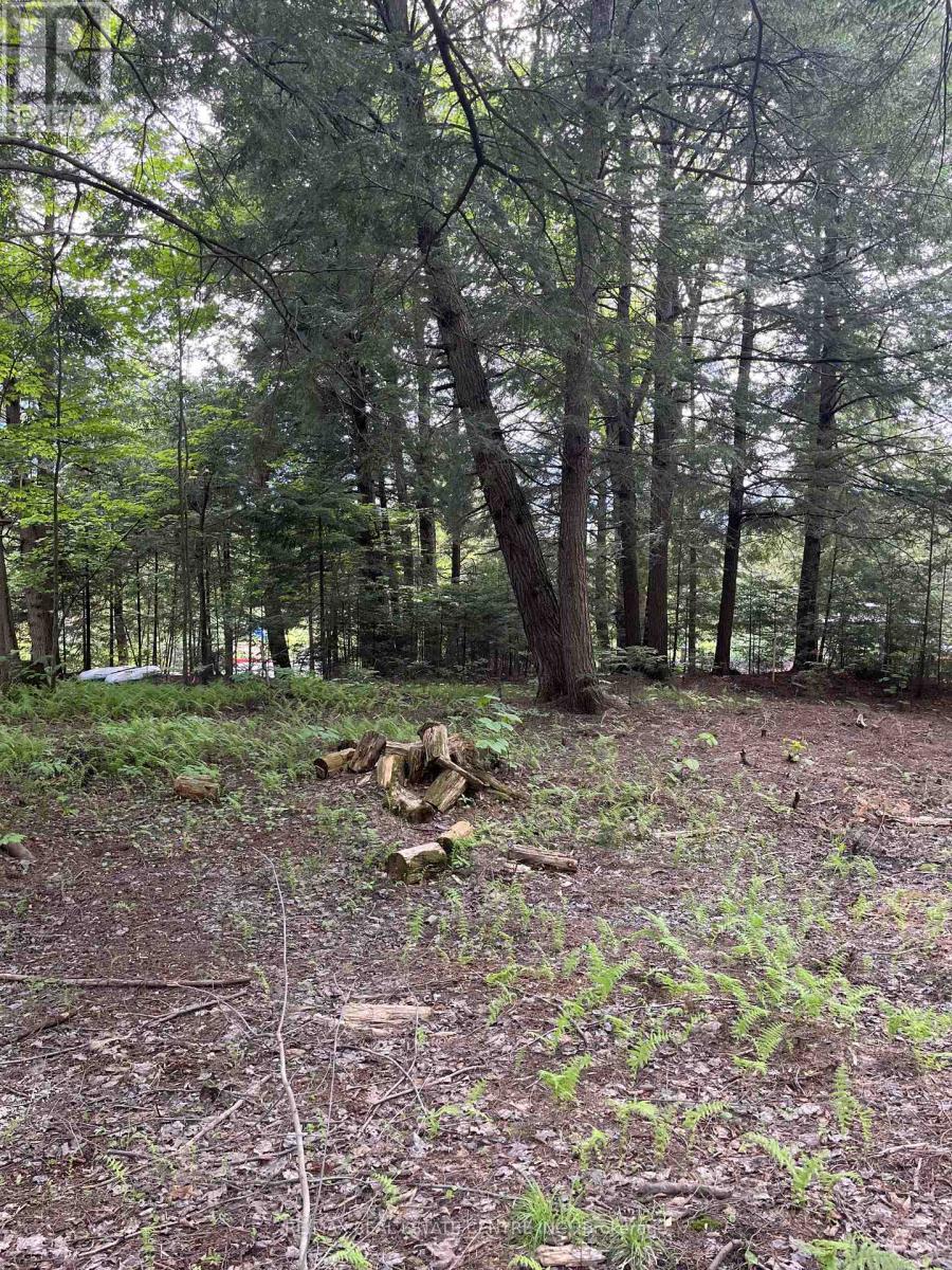 62 Cedar Shores Private Property Photo 9