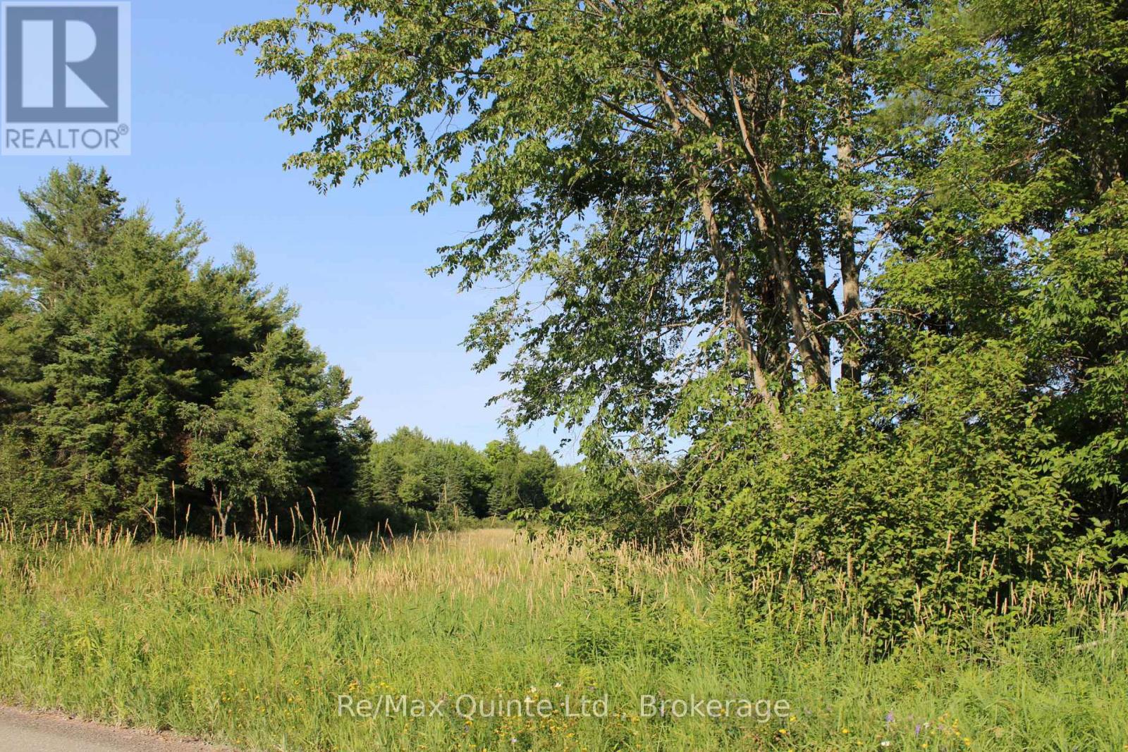 494 Twin Sister Lakes Road Property Photo 1