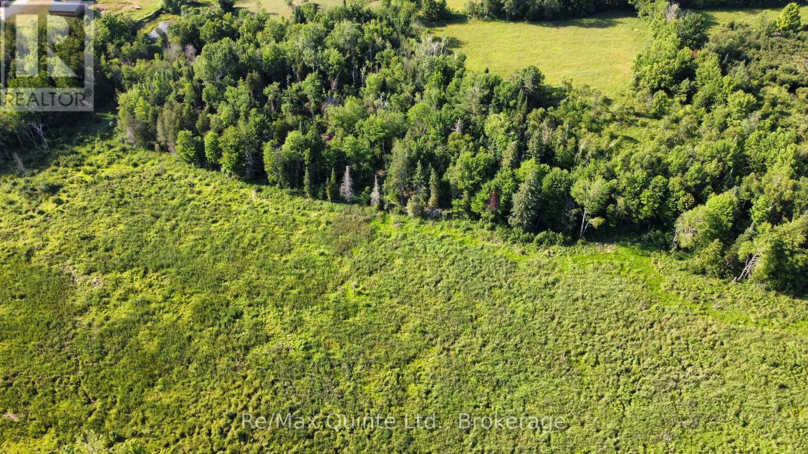 494 Twin Sister Lakes Road Property Photo 4