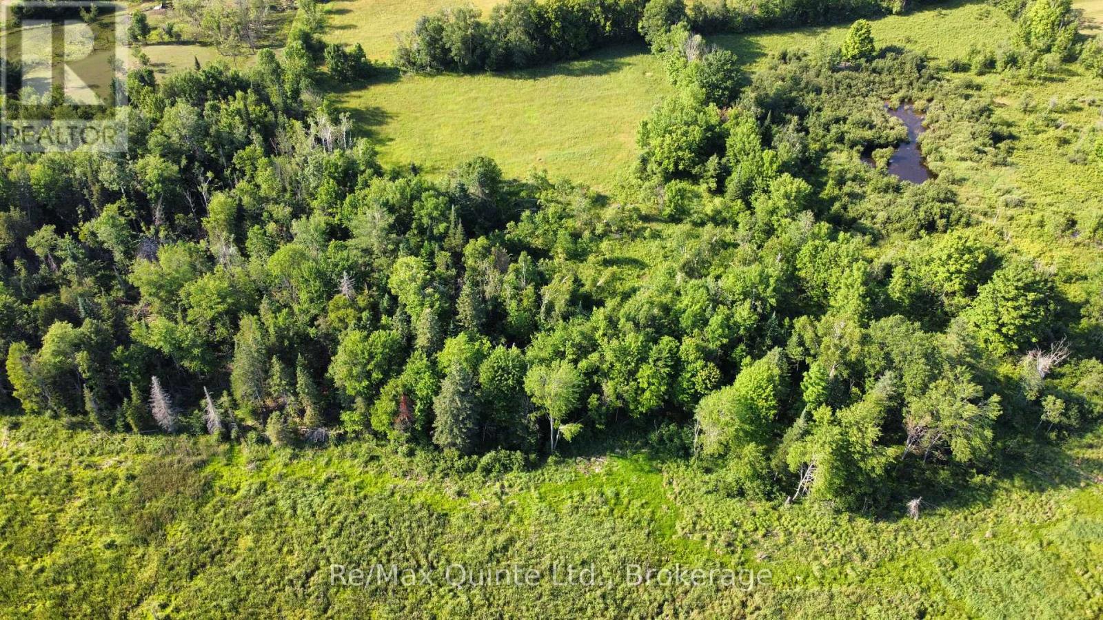 494 Twin Sister Lakes Road Property Photo 5
