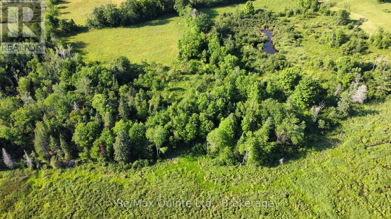 494 Twin Sister Lakes Road Property Photo 6
