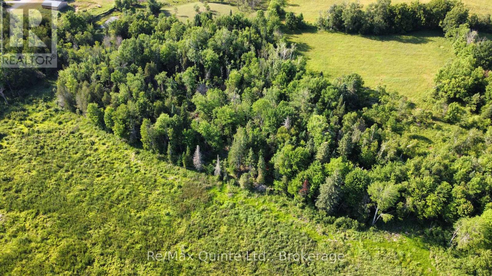 494 Twin Sister Lakes Road Property Photo 7