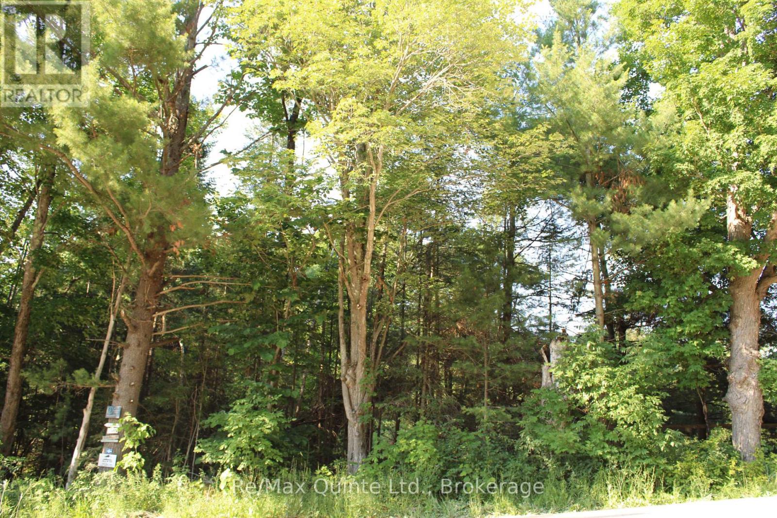 494 Twin Sister Lakes Road Property Photo 11