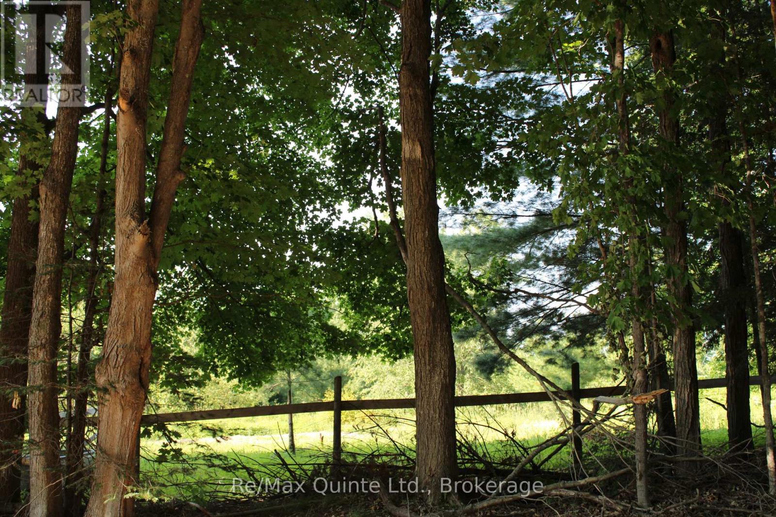 494 Twin Sister Lakes Road Property Photo 12