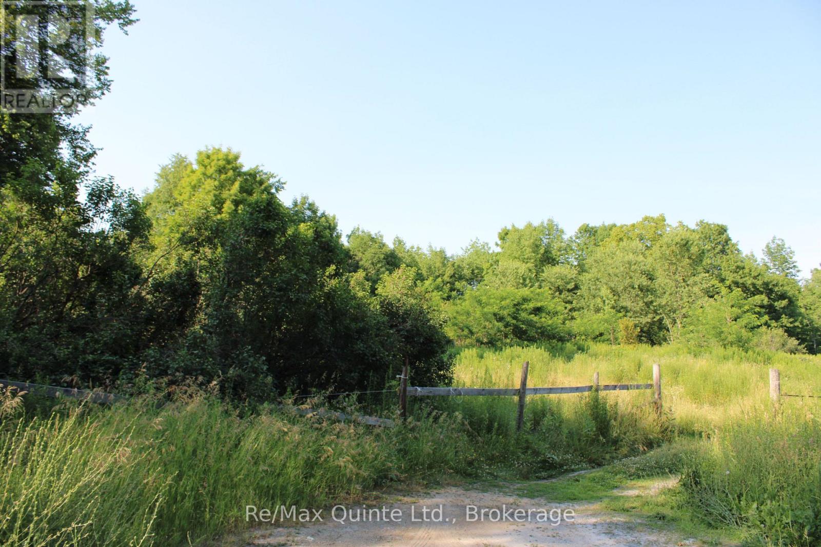 494 Twin Sister Lakes Road Property Photo 13