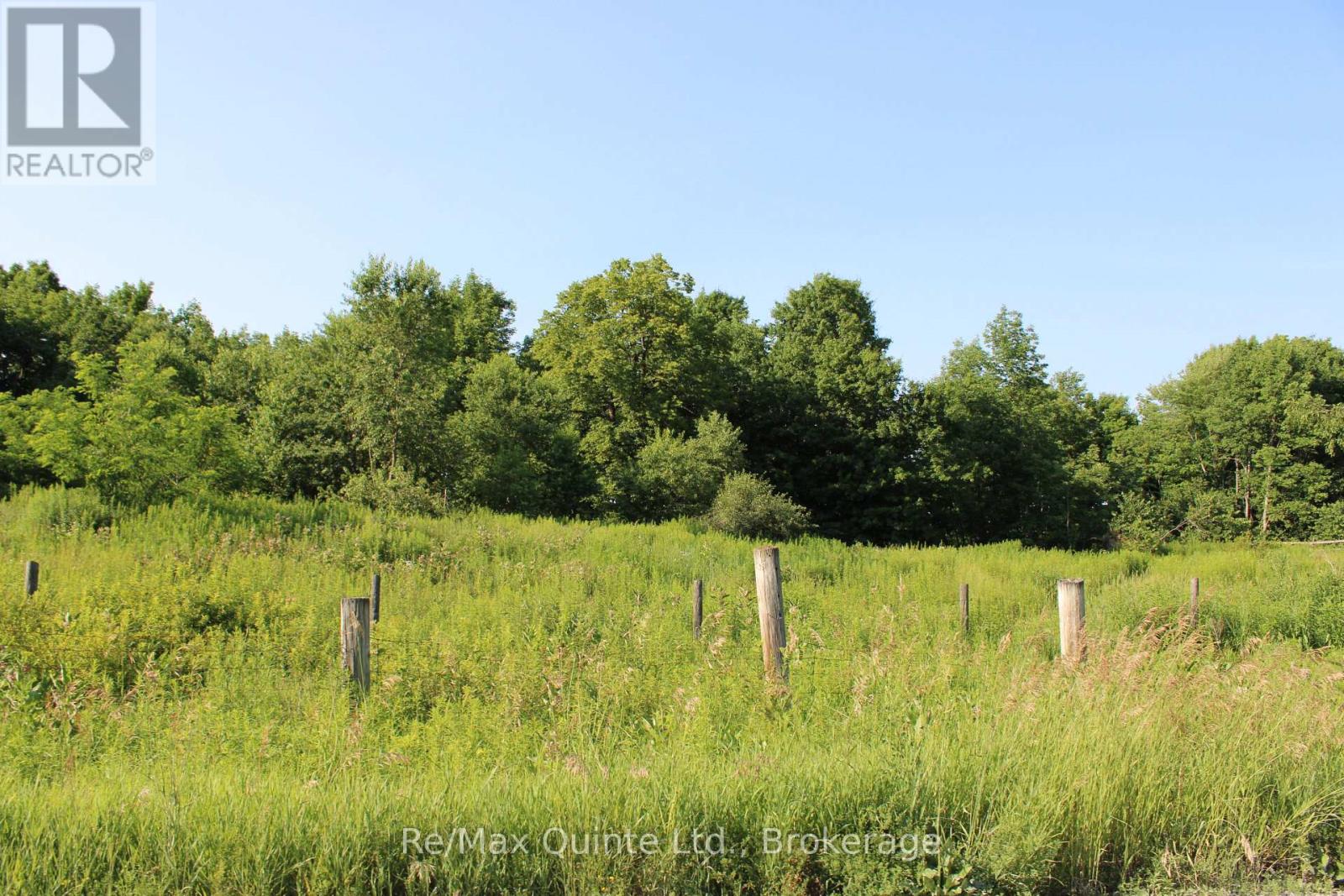 494 Twin Sister Lakes Road Property Photo 14