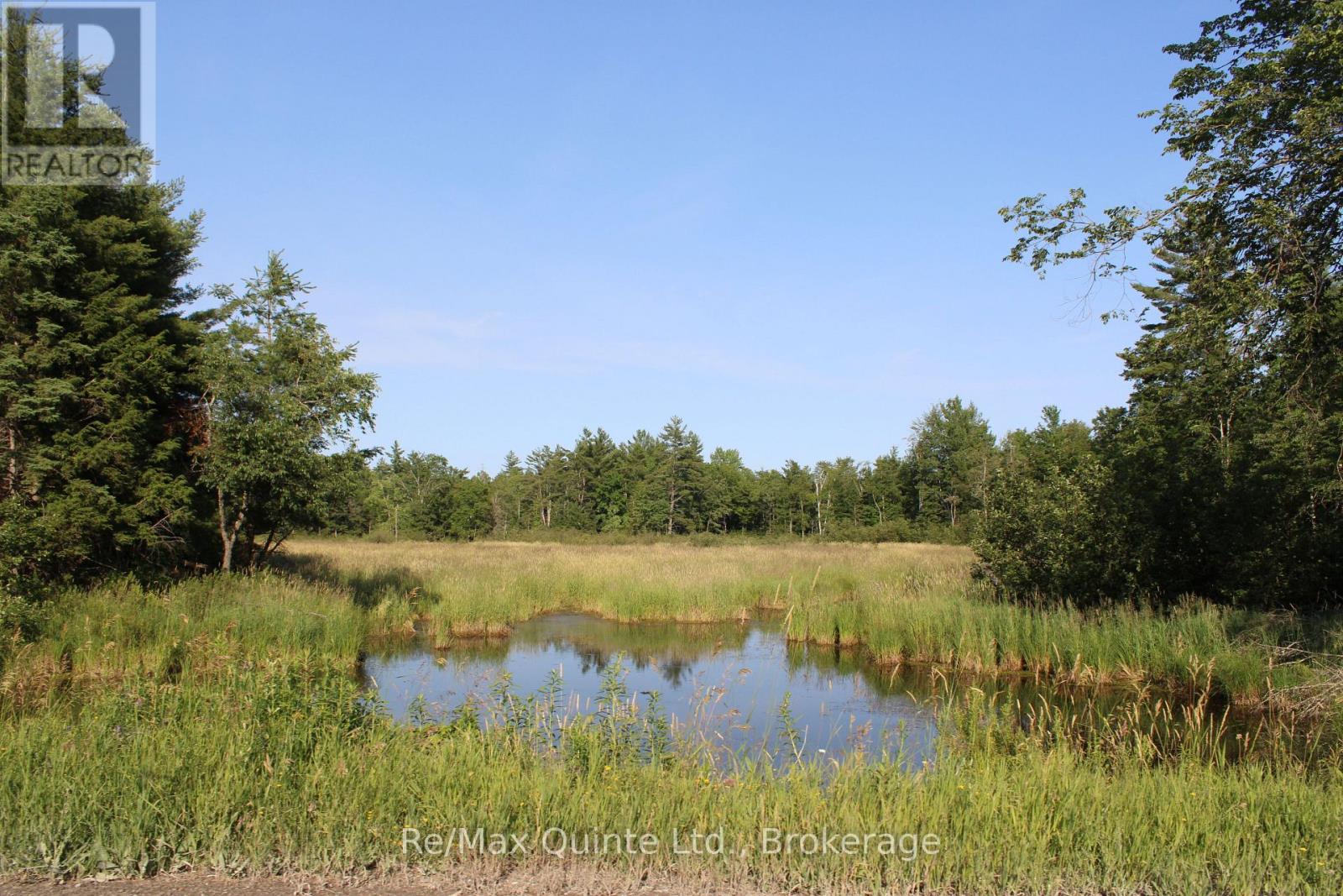 494 Twin Sister Lakes Road Property Photo 15
