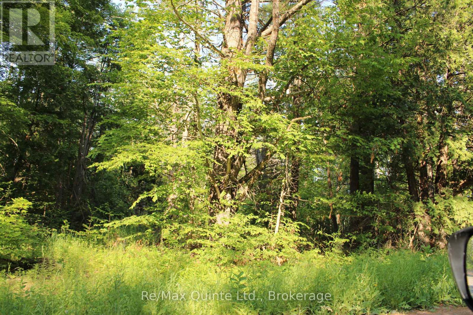 494 Twin Sister Lakes Road Property Photo 16