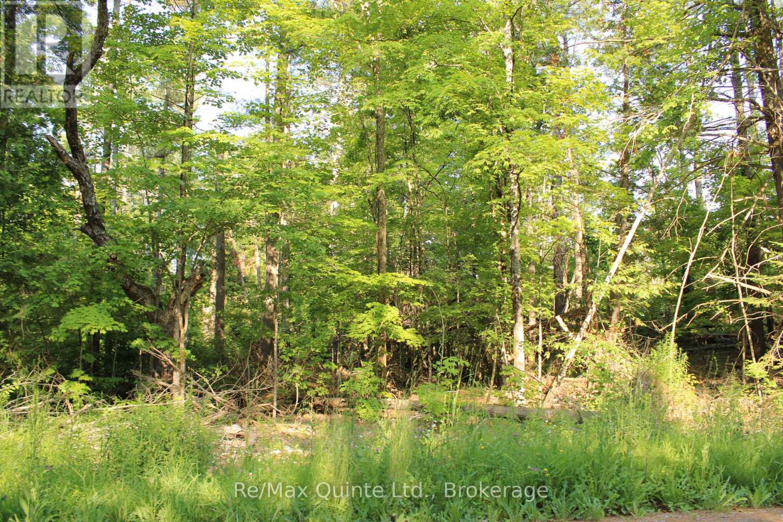 494 Twin Sister Lakes Road Property Photo 17