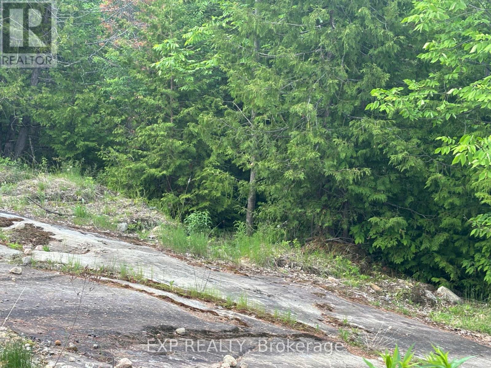 47 Arbor Vitae Road Property Photo 14