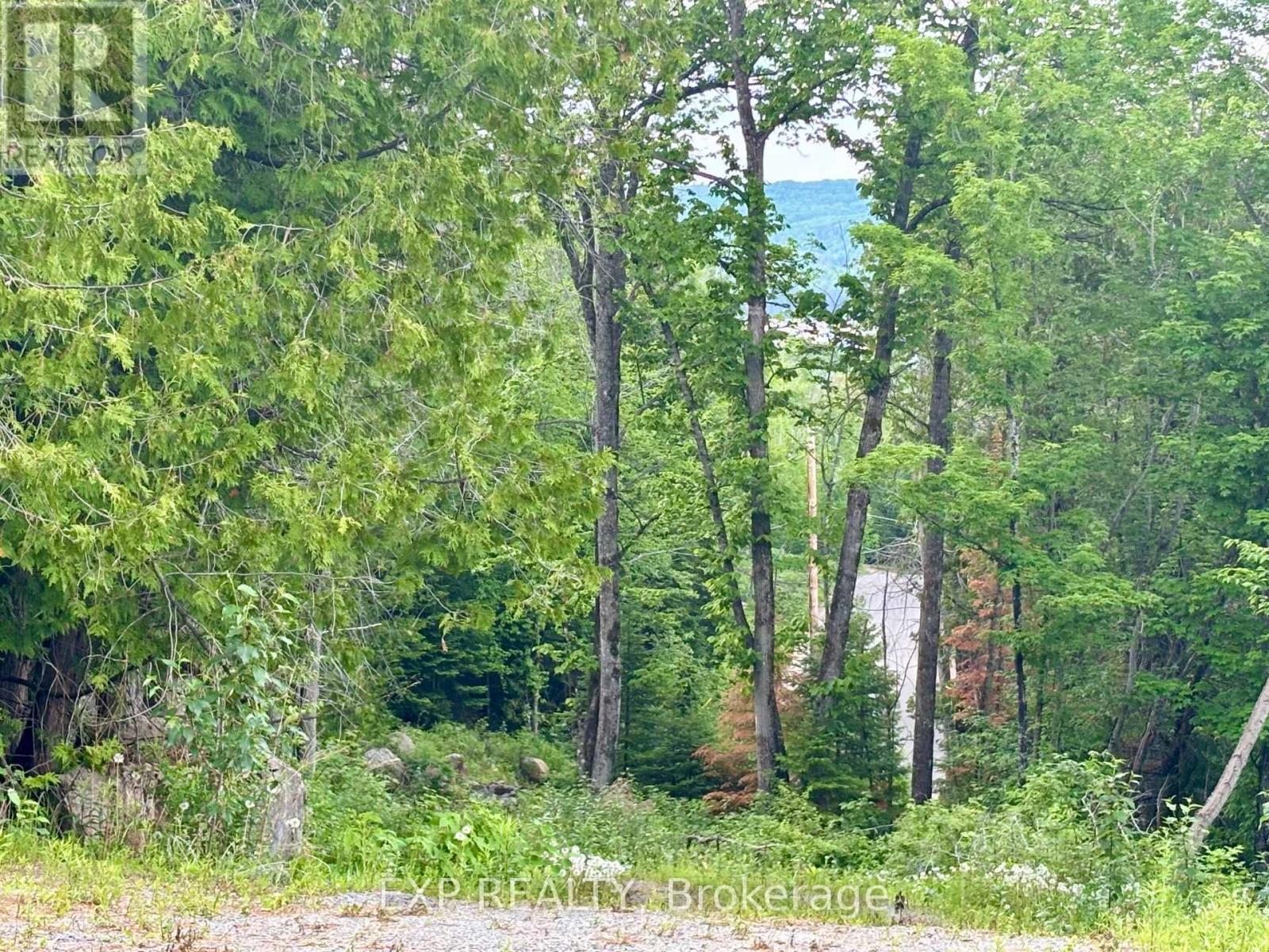 47 Arbor Vitae Road Property Photo 16