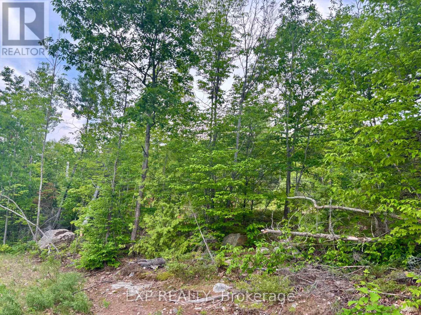 47 Arbor Vitae Road Property Photo 17