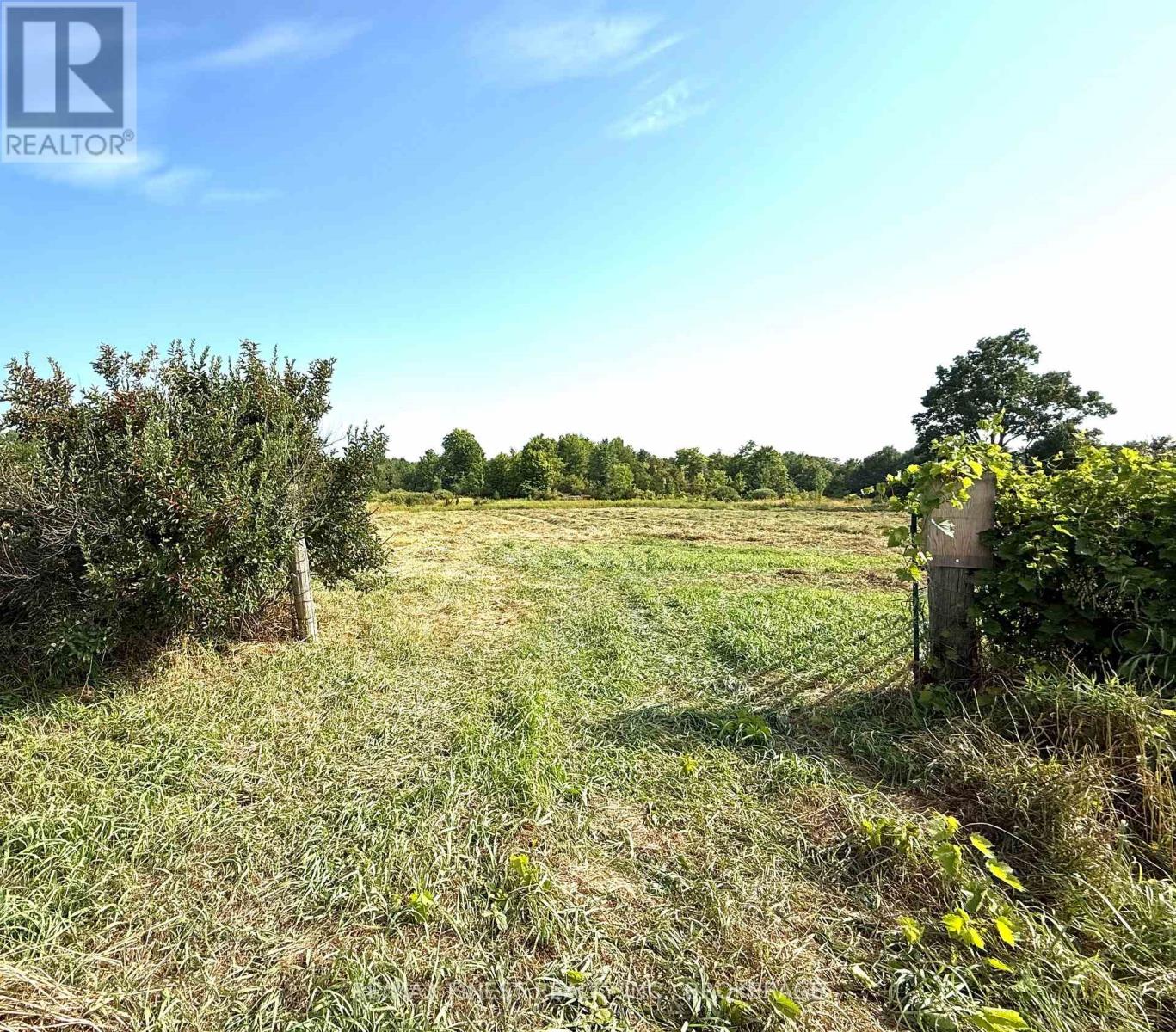0 Pelow Road Property Photo 3