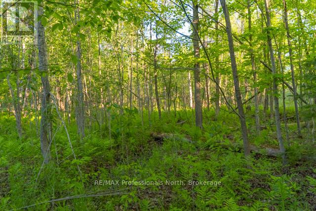 1068 Woods Road Property Photo 30