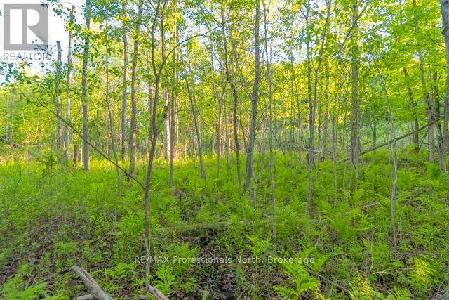 1068 Woods Road Property Photo 31