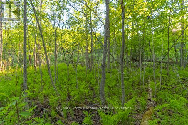1068 Woods Road Property Photo 32