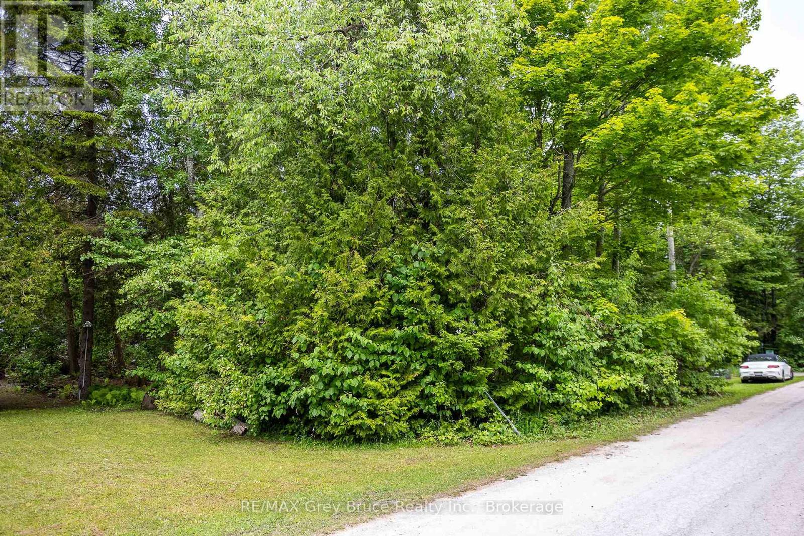 8 Toronto Avenue Property Photo 14