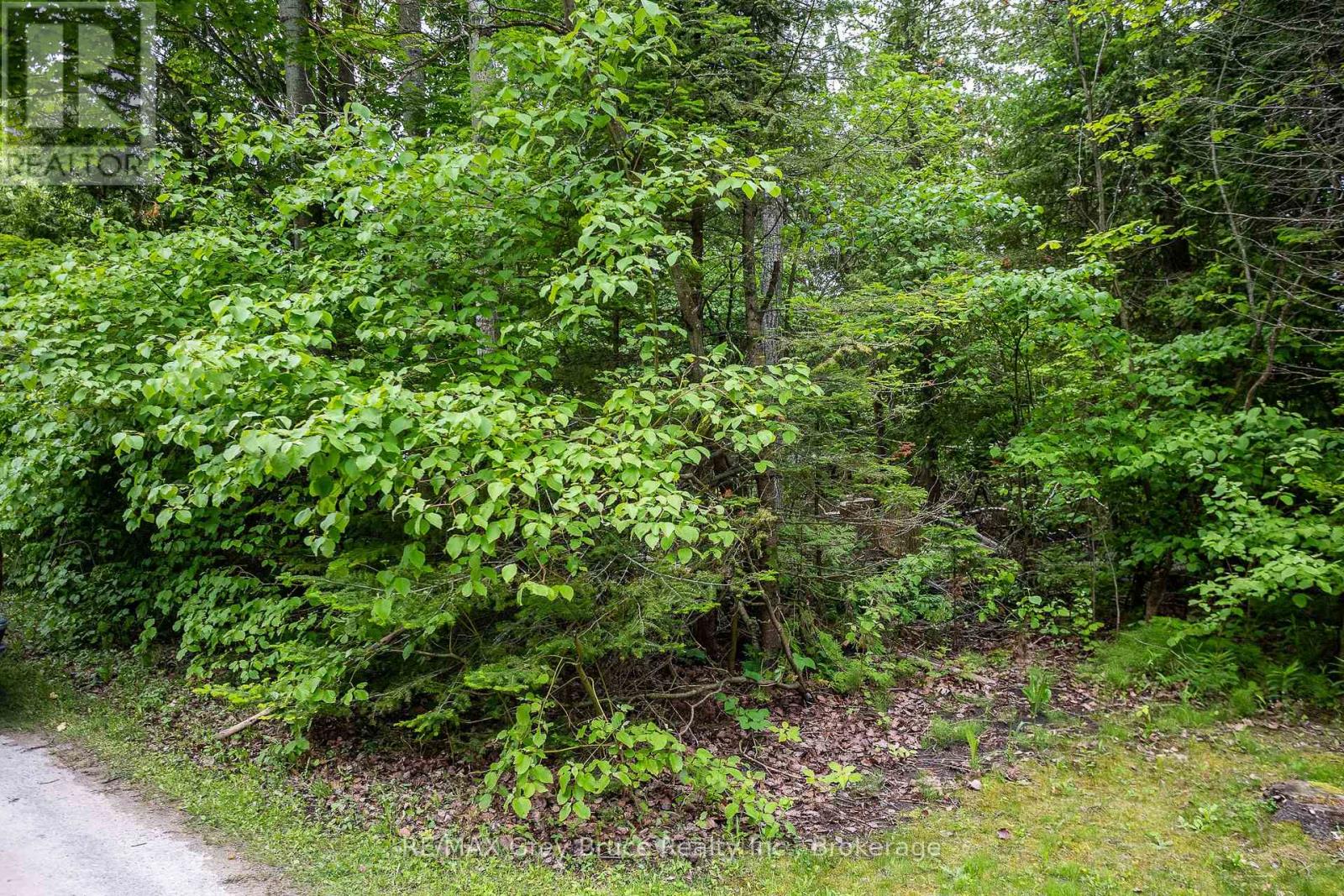 8 Toronto Avenue Property Photo 15