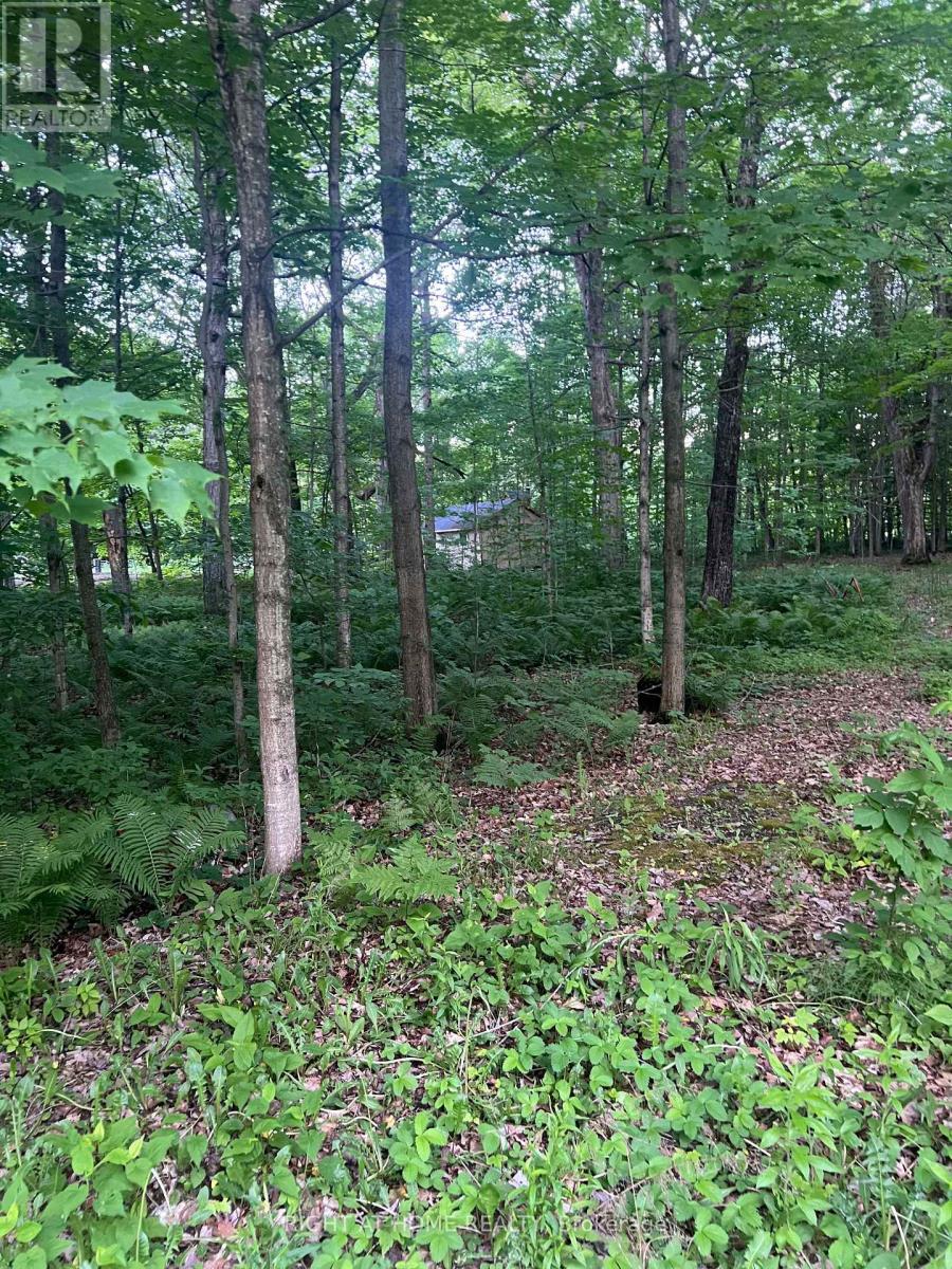 1947 Route 100 Property Photo 5