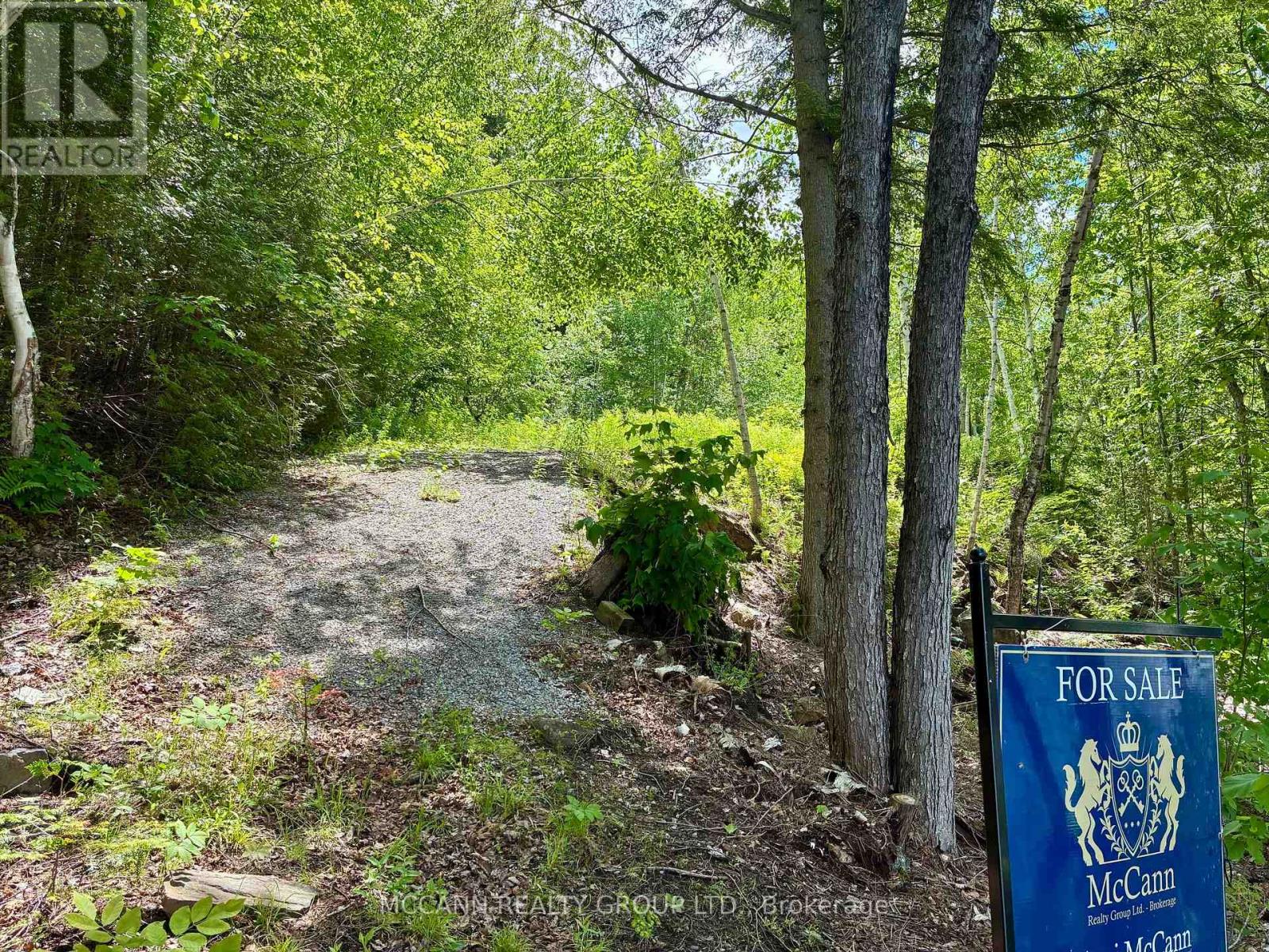 0 Starlight Road Property Photo 12