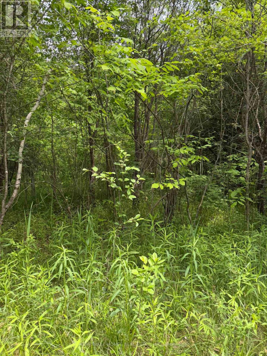 00 Richardson Road Property Photo 19