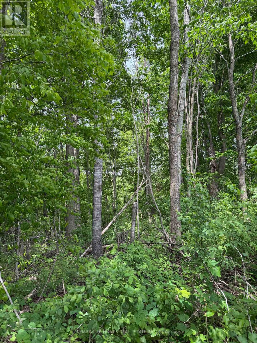 00 Richardson Road Property Photo 12