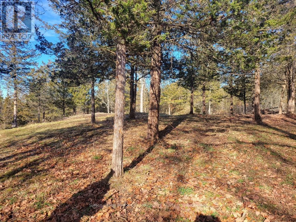 12577 Loyalist Parkway Ne Property Photo 5