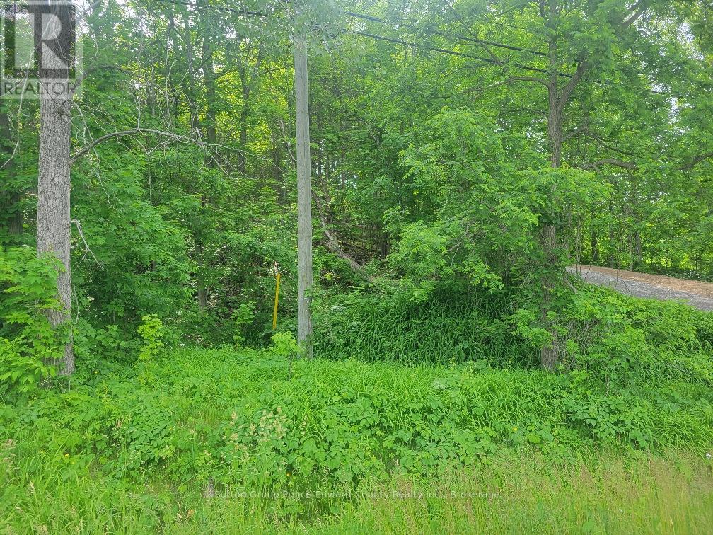 12577 Loyalist Parkway Ne Property Photo 15