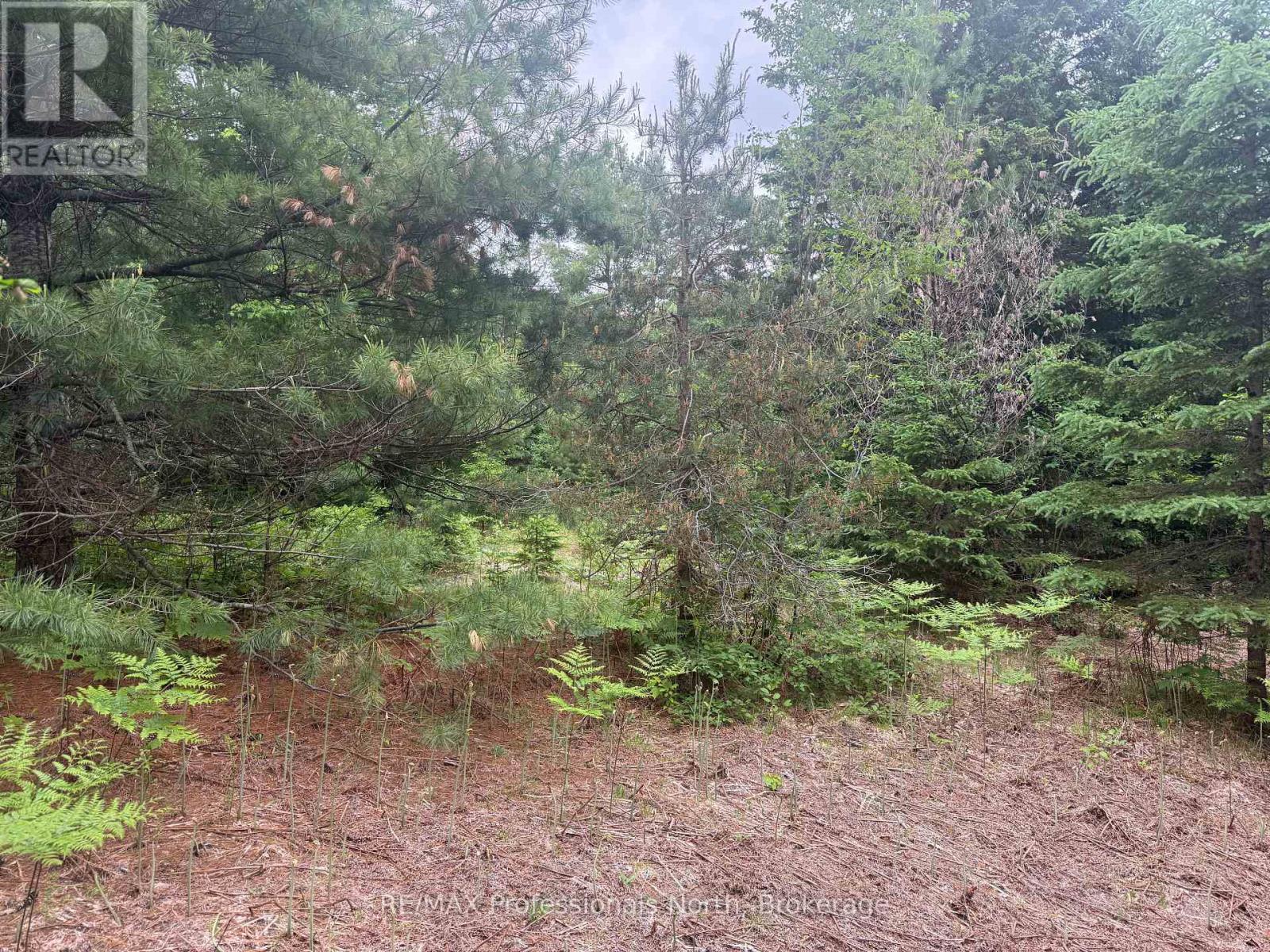 1313 Williamsport Road N Property Photo 9