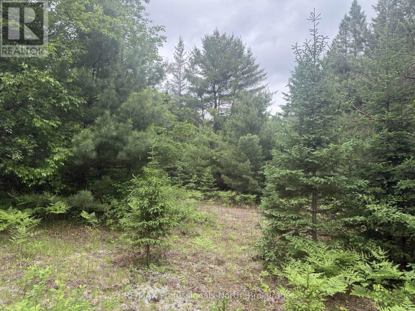 1313 Williamsport Road N Property Photo 10