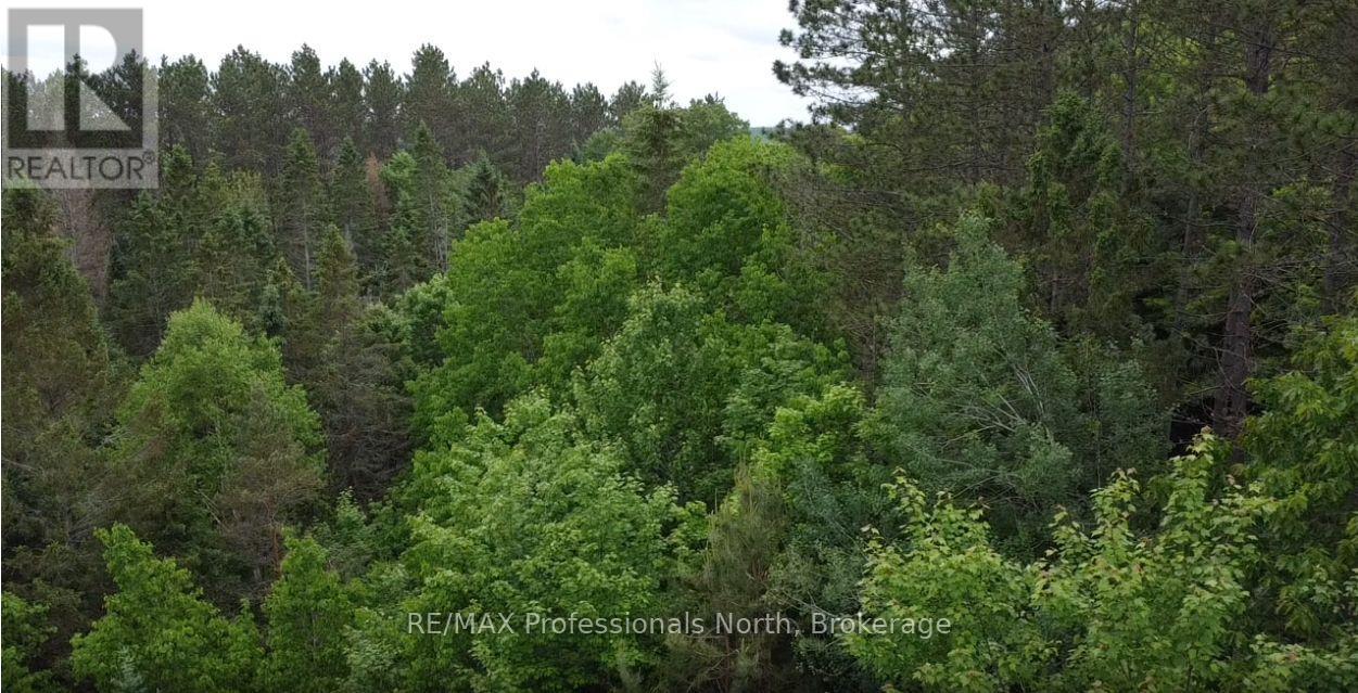 1313 Williamsport Road N Property Photo 12