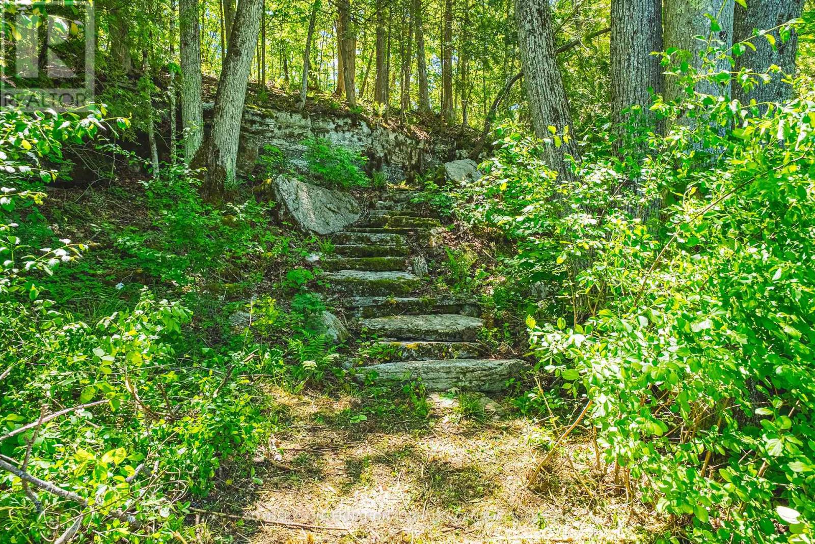 215 Laplantes Road Property Photo 43