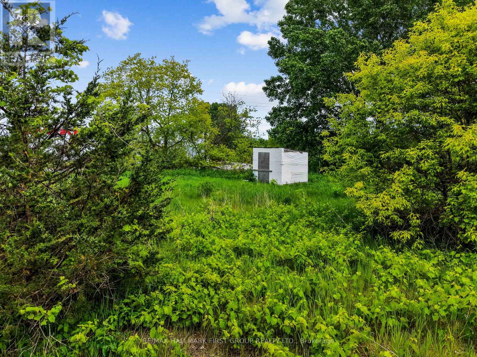 1 Earl Street Property Photo 6