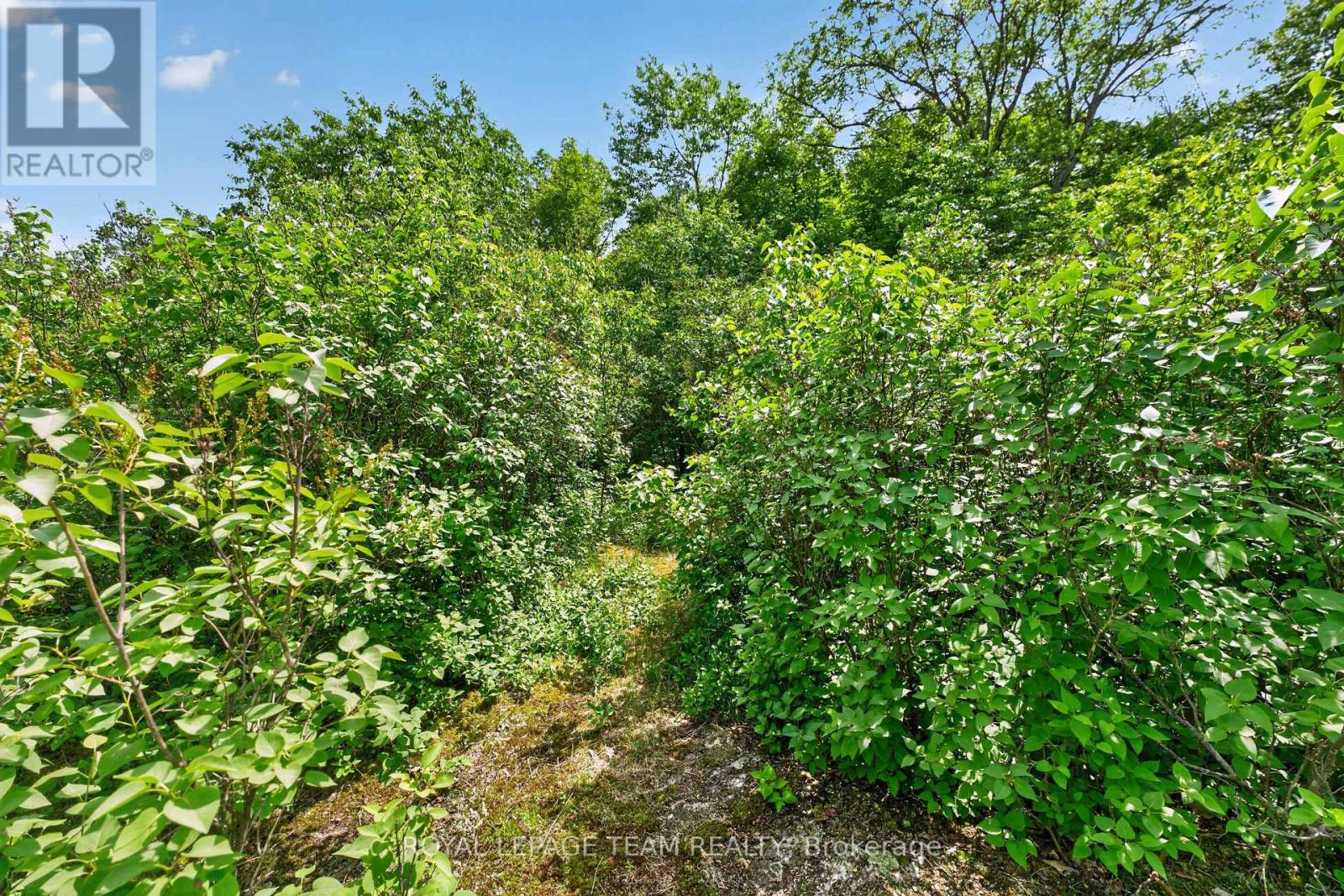 1391 Huntmar Drive Property Photo 13