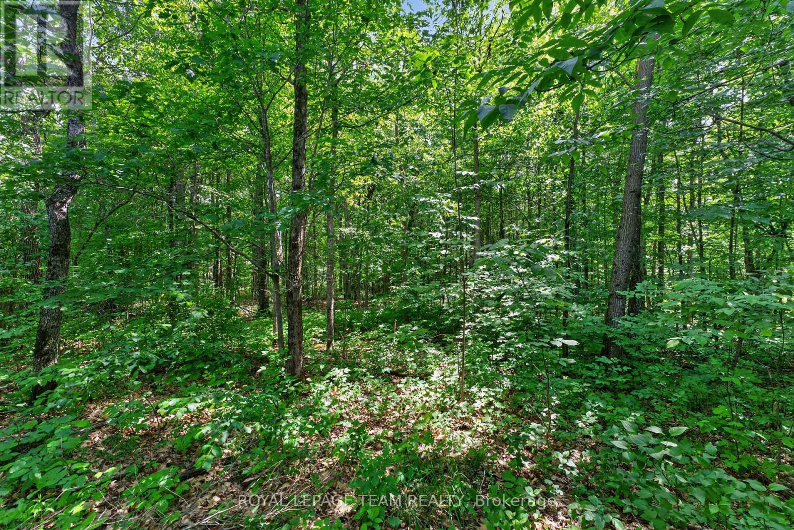 1391 Huntmar Drive Property Photo 14