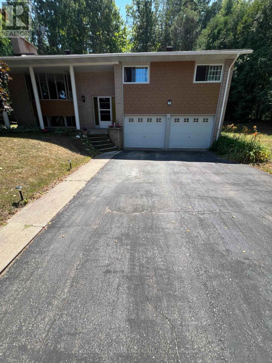 19 Forest Hill Road Property Photo 3