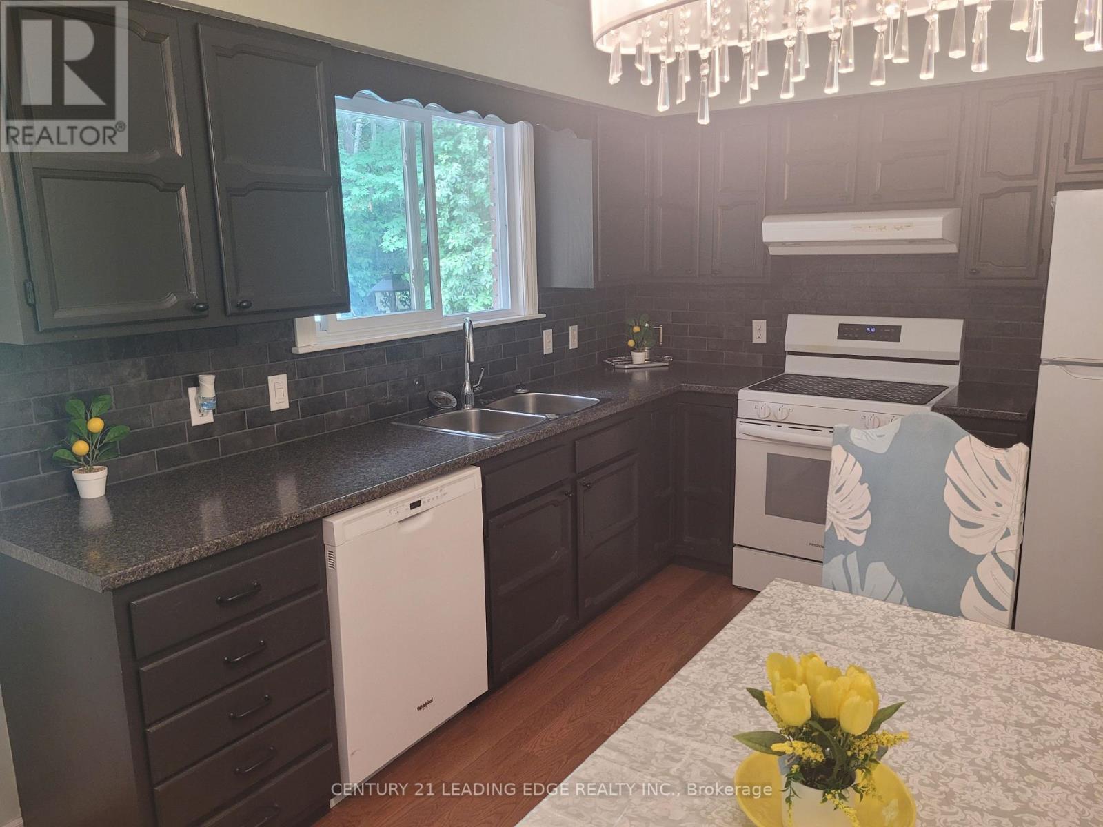 19 Forest Hill Road Property Photo 7