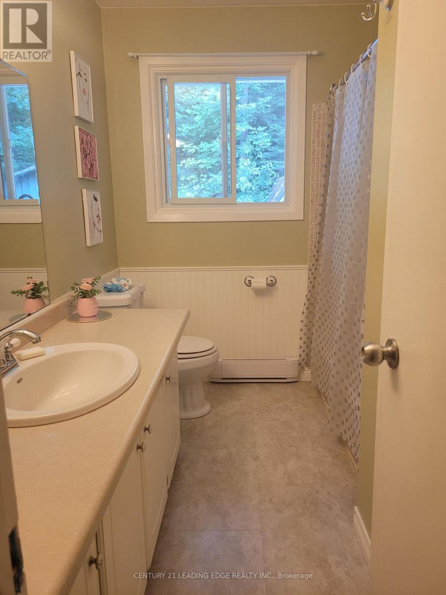 19 Forest Hill Road Property Photo 14