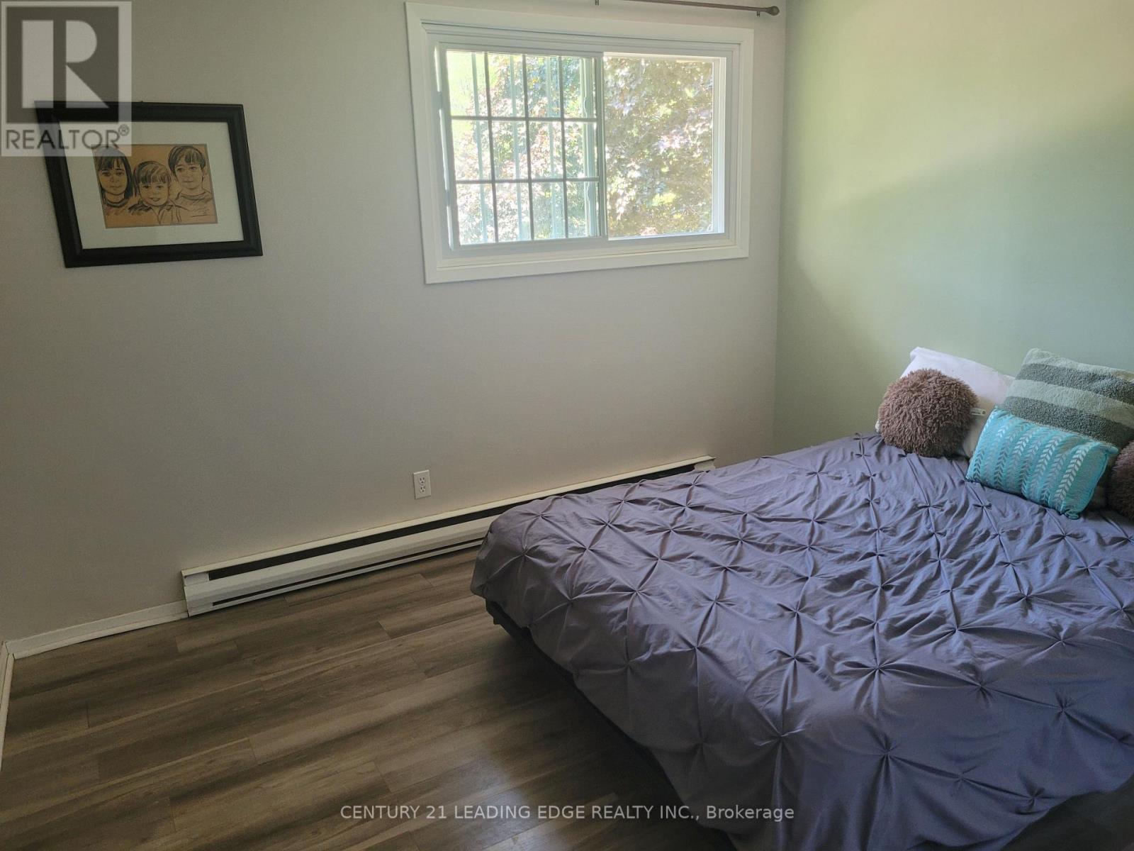 19 Forest Hill Road Property Photo 17