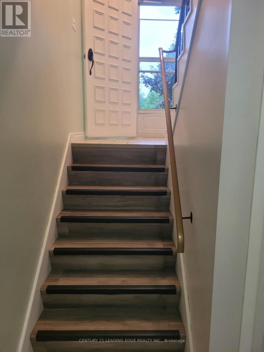 19 Forest Hill Road Property Photo 23