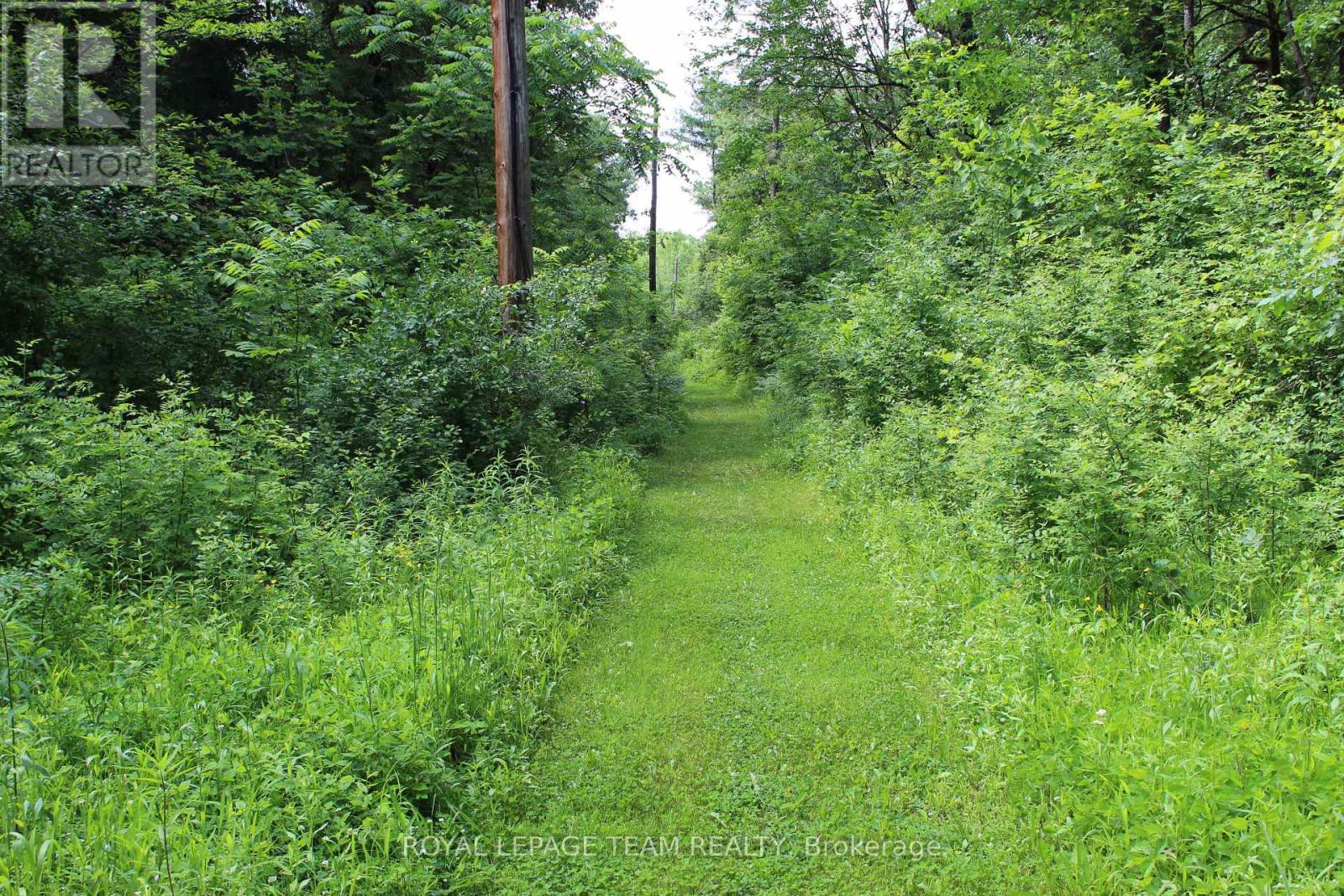 129 Ward Court Property Photo 9