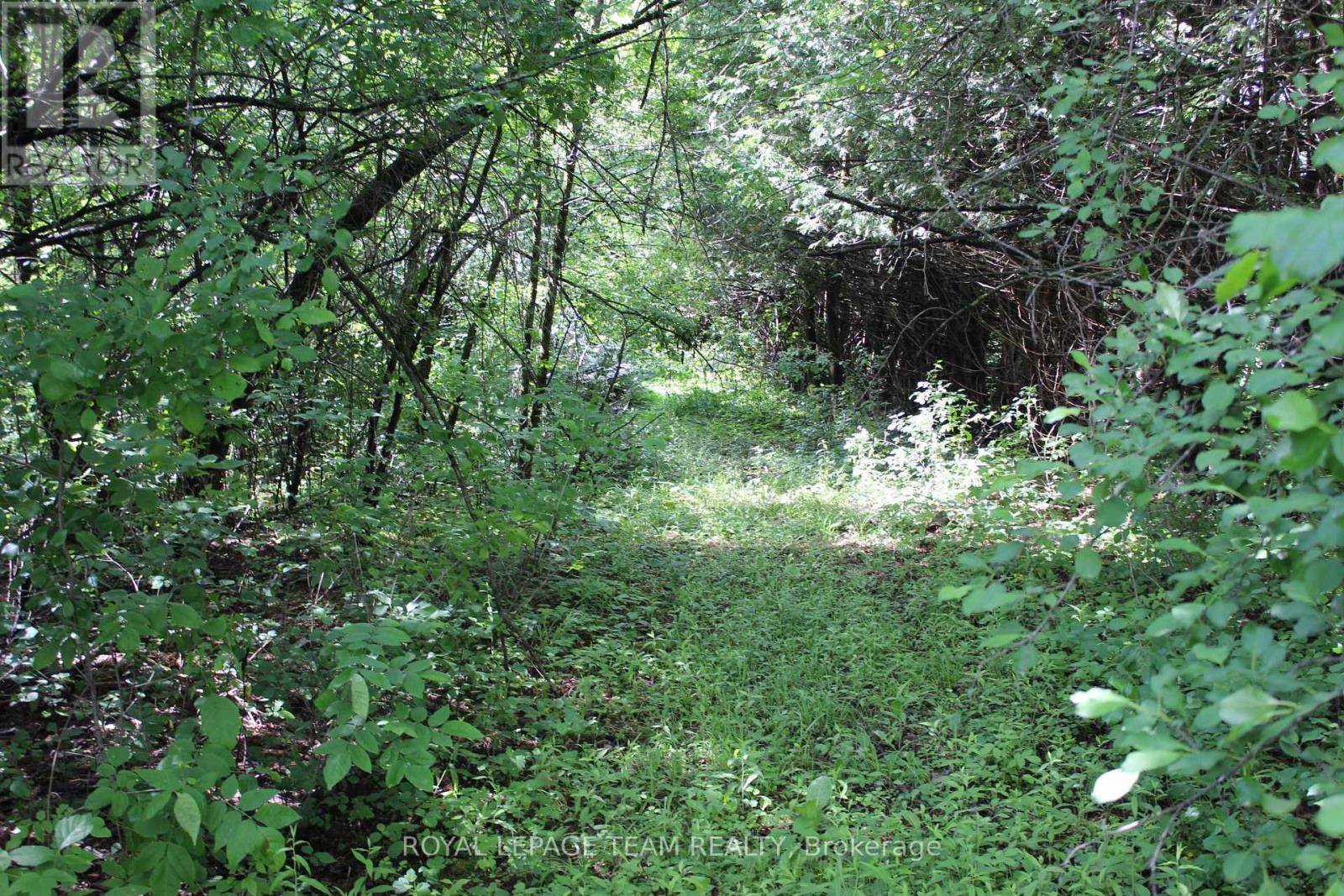 129 Ward Court Property Photo 34